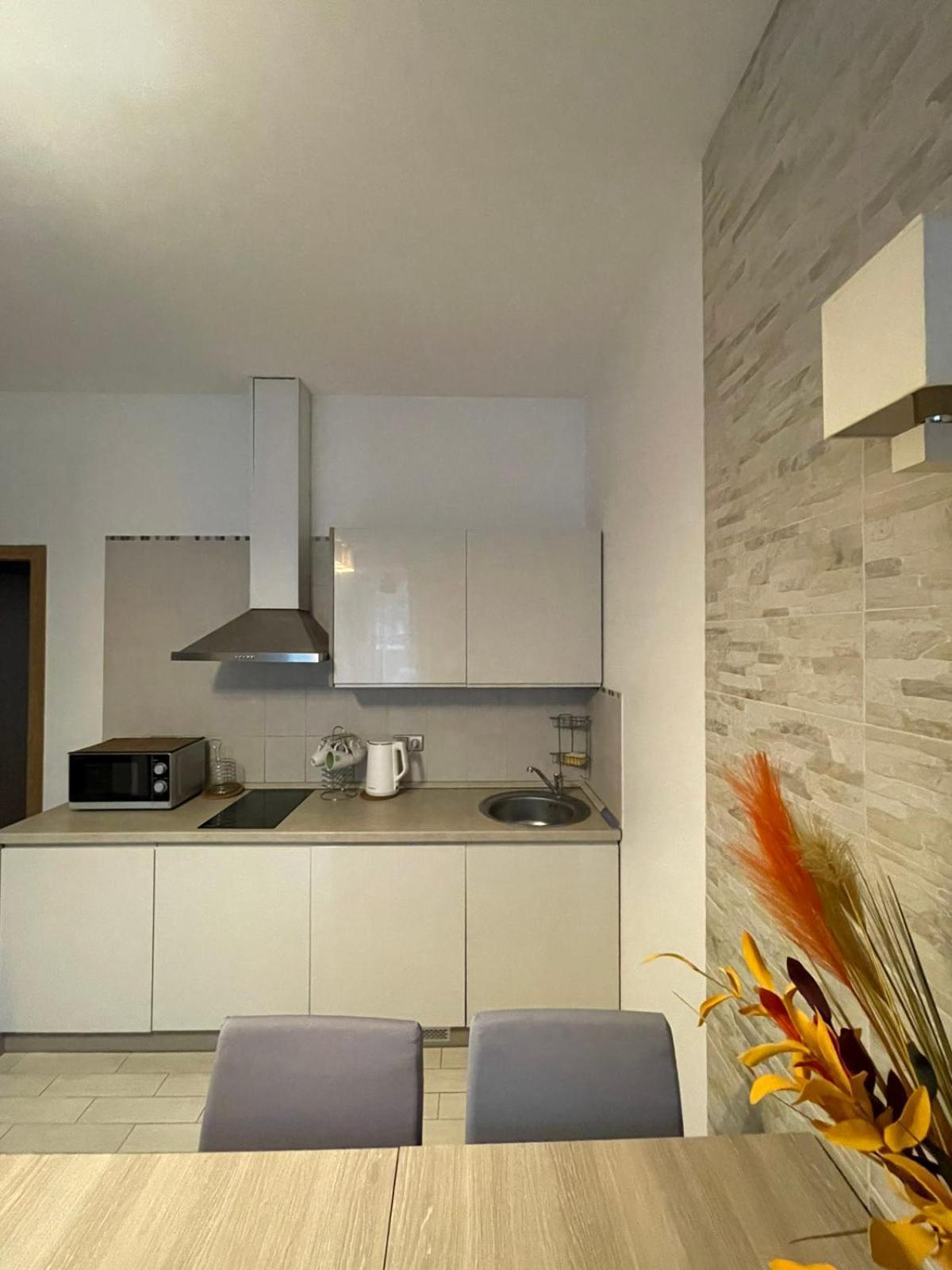 Taikos Apartmentai 2 دروسكينينكاي المظهر الخارجي الصورة